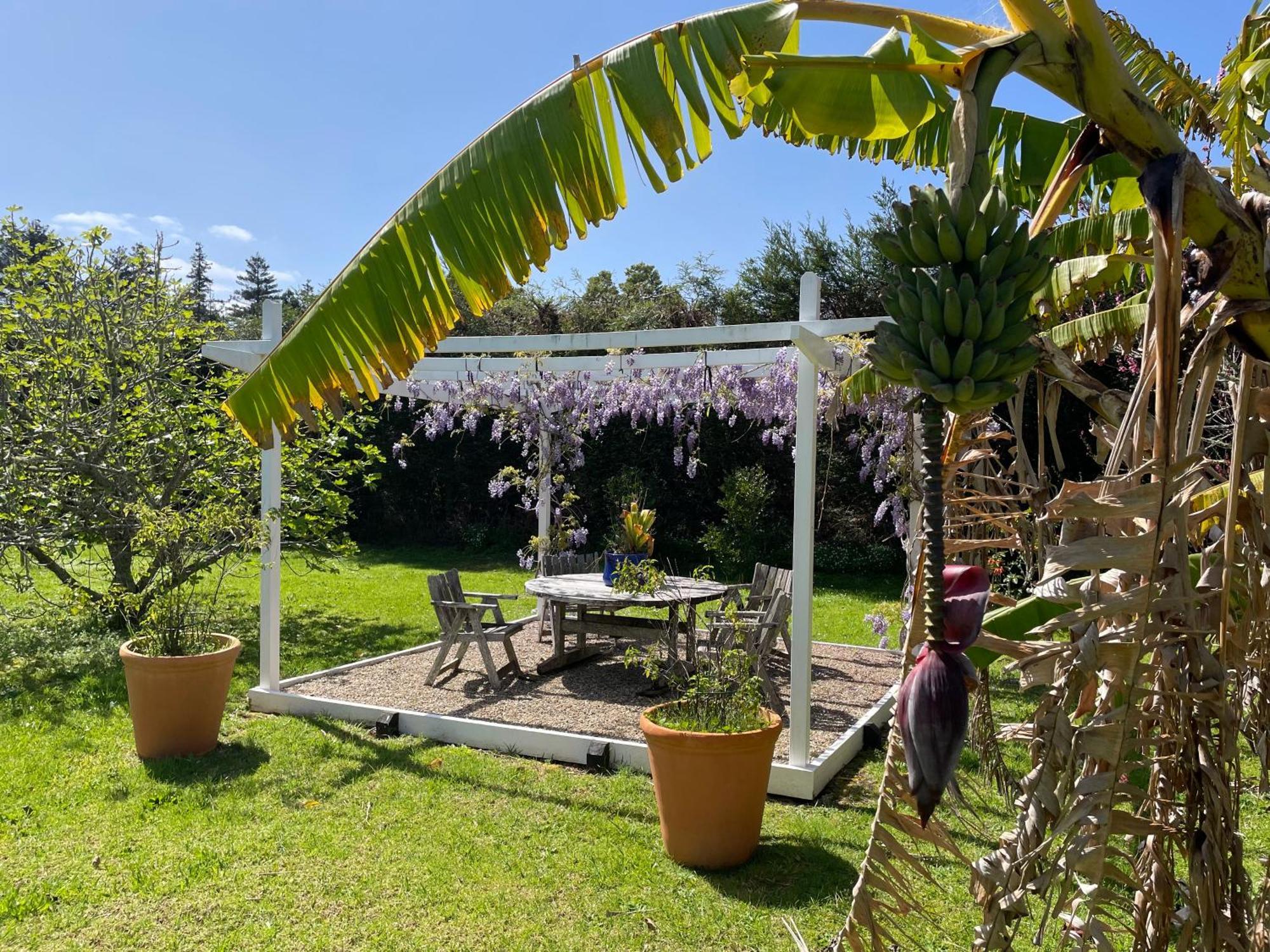 Pa Road B&B Kerikeri Nz Exteriér fotografie